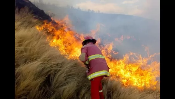 Especialista Incêndio Fazenda Rio Grande